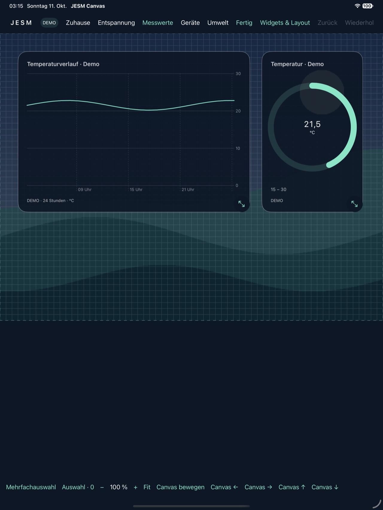 Echter iPad-Editor-Screenshot mit Demo-Daten