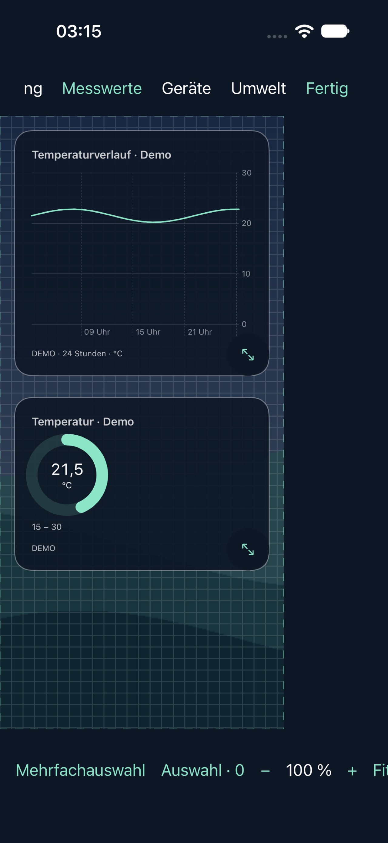 Echter iPhone-Editor-Screenshot mit Demo-Daten